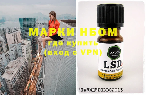 молекула духа Новокубанск