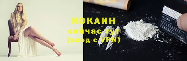 молекула духа Новокубанск