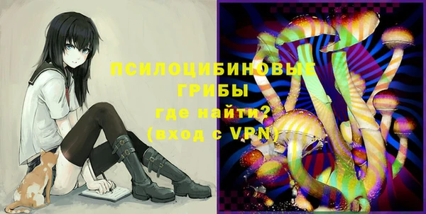 первитин Нея