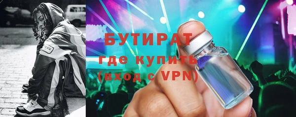 шишки Заречный