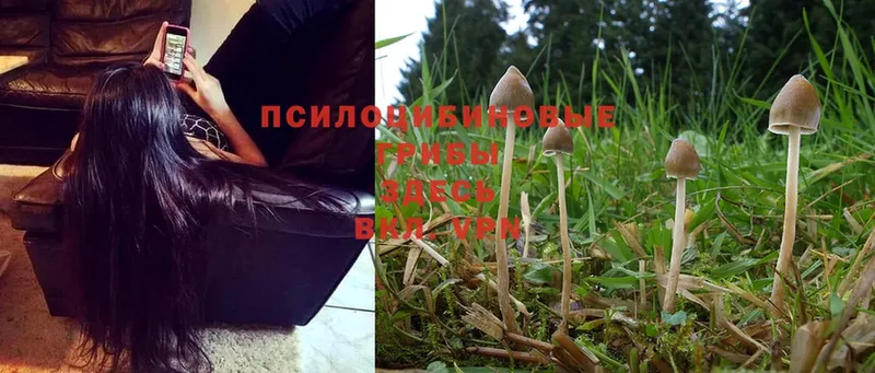 нарко площадка какой сайт  Инза  Псилоцибиновые грибы Magic Shrooms 